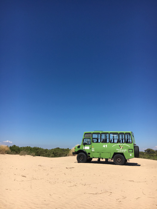 jeep-sand-web
