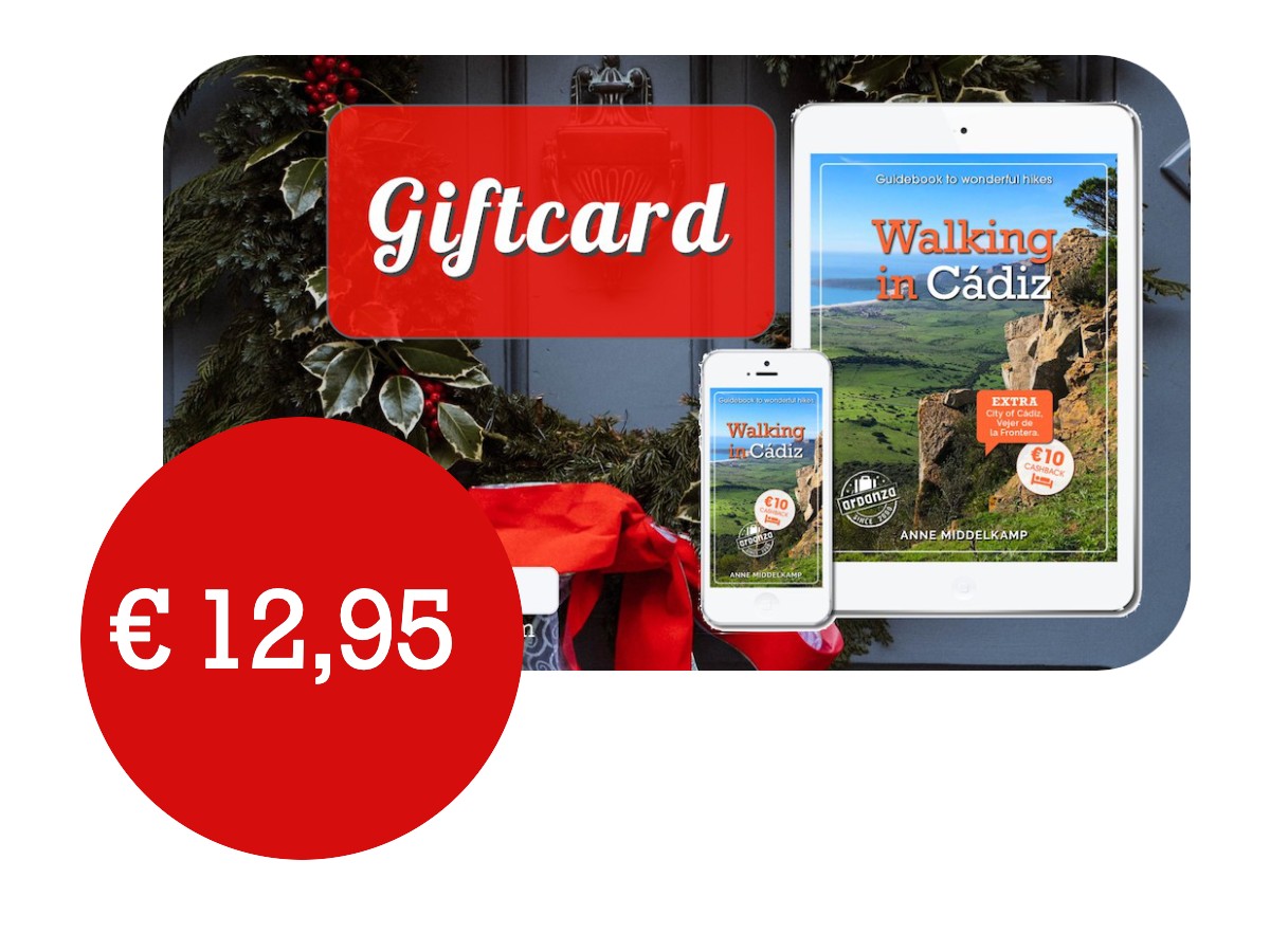 GiftcardENGweb